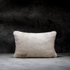LUXOME Faux Fur Blanket and Pillows Bundle
